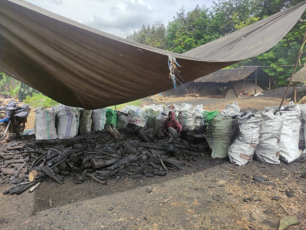 The Quality Charcoal Production Hub in Indonesia: What You Need to Know