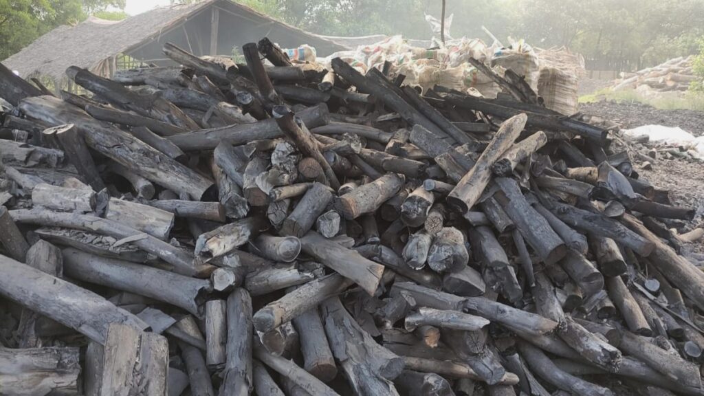 Halaban Wood Charcoal