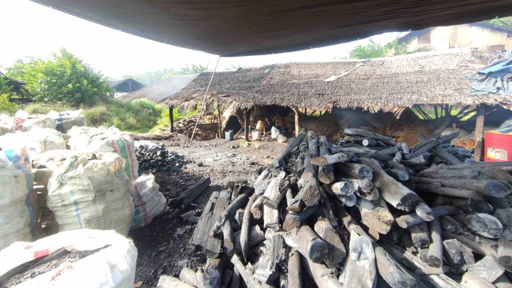 Best Charcoal from Indonesia