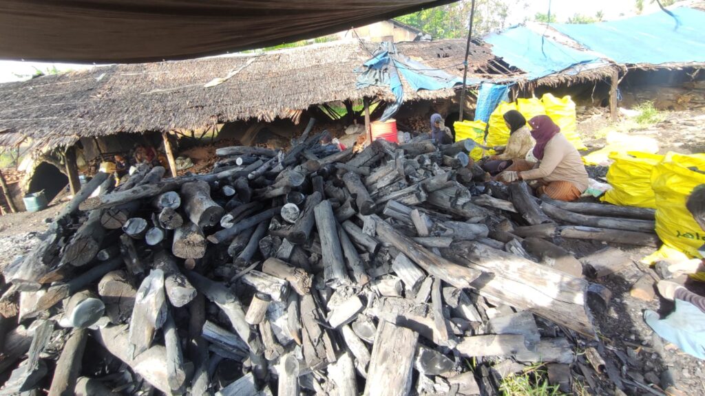 Increasing Indonesian Charcoal Exports.