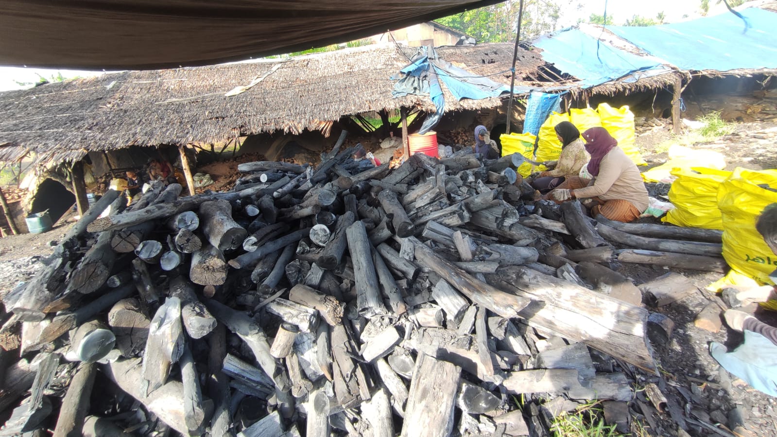Increasing Indonesian Charcoal Exports.