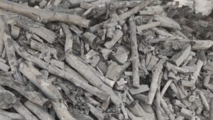 فحم التمر الهندي الإندونيسي